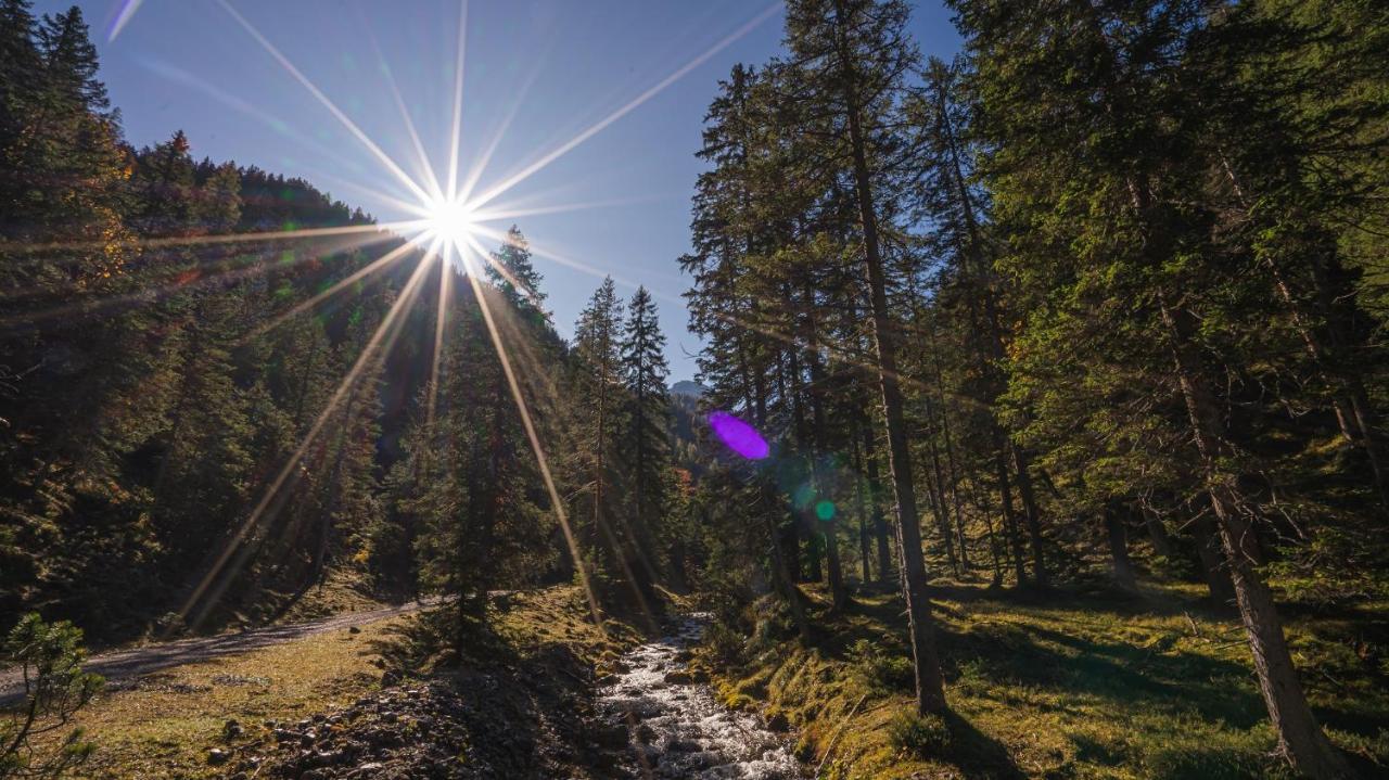 Hotel Garni Isarlodge Wiesenhof Scharnitz Zewnętrze zdjęcie