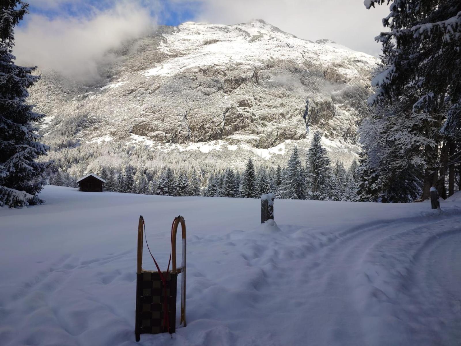 Hotel Garni Isarlodge Wiesenhof Scharnitz Zewnętrze zdjęcie